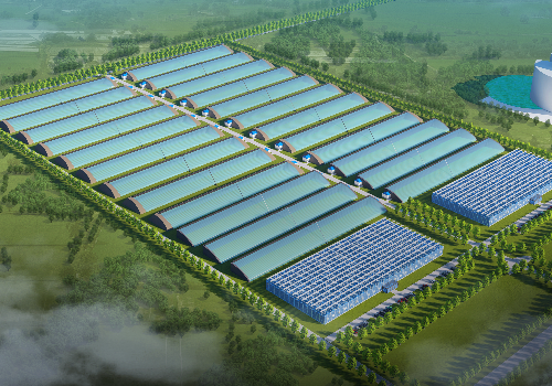 Vegetable Basket of Qingdao High Standard vegetable greenhouse construction project