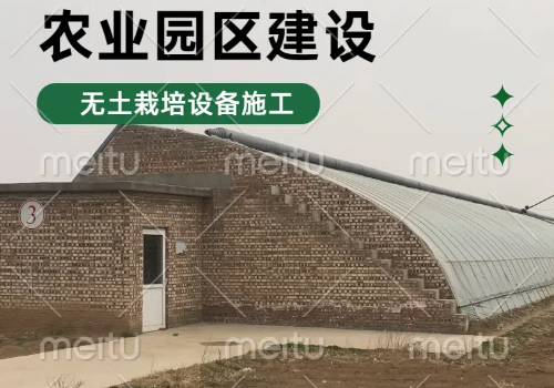 大棚建設的具體設計與規(guī)模