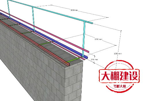 磚墻蔬菜大棚建設(shè)的后墻加裝防護(hù)欄